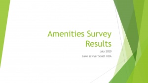 Lake Sawyer South Amenities Survey Results